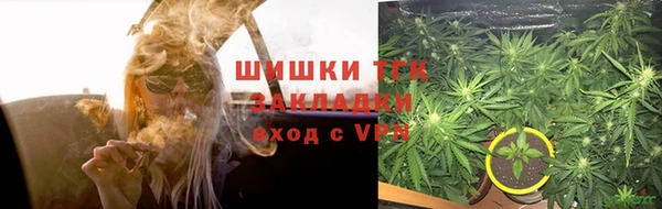 ГАЛЛЮЦИНОГЕННЫЕ ГРИБЫ Вязники