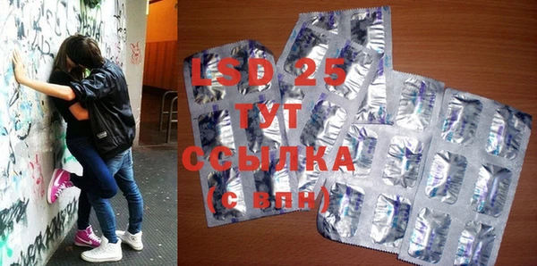 ГАЛЛЮЦИНОГЕННЫЕ ГРИБЫ Вязники