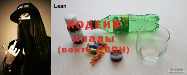 ГАЛЛЮЦИНОГЕННЫЕ ГРИБЫ Вязники