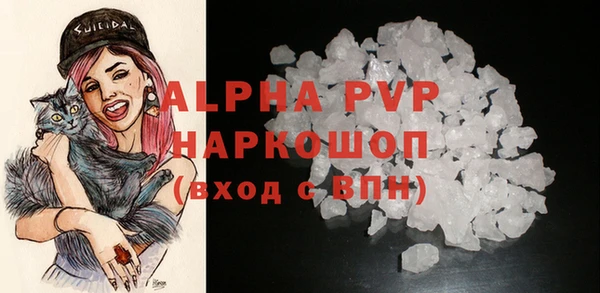 ГАЛЛЮЦИНОГЕННЫЕ ГРИБЫ Вязники