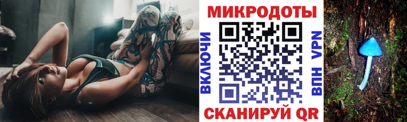 закладки  Светлогорск  MEGA зеркало  Галлюциногенные грибы мухоморы 